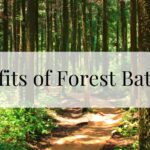 Benefits of Forest Bathing
