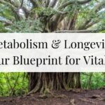 Metabolism and Longevity: Your Blueprint for Vitality at Any Age